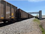 SCWX 06236